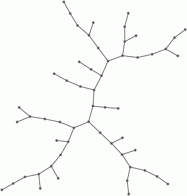 Fundamental region in the cubic tree